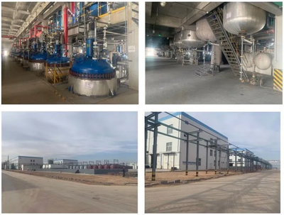 惡唑酰草胺、滅草松等原藥項(xiàng)目建成投產(chǎn),寧夏藍(lán)田已投資超過(guò)3.2億元